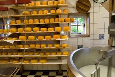 Rounds of cheese on a shelf next to milk machine