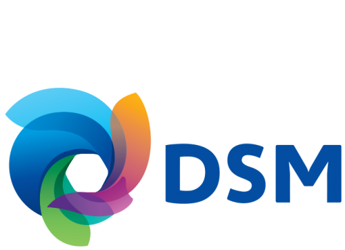 DSM Logo